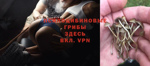 стаф Козельск