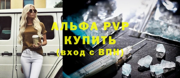стаф Козельск